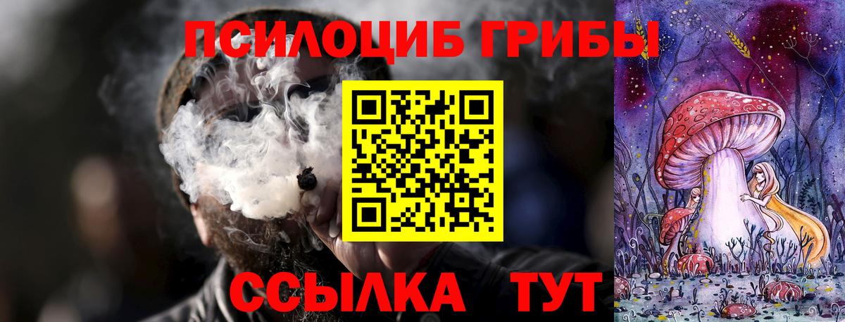 Псилоцибиновые грибы Magic Shrooms  Вход с VPN  Азнакаево 