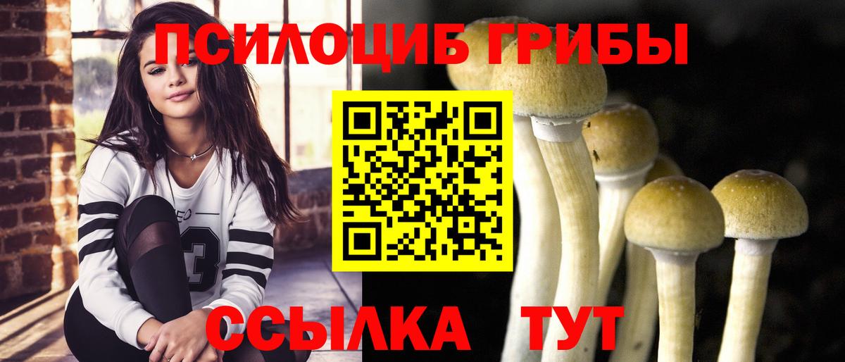 Псилоцибиновые грибы GOLDEN TEACHER Азнакаево